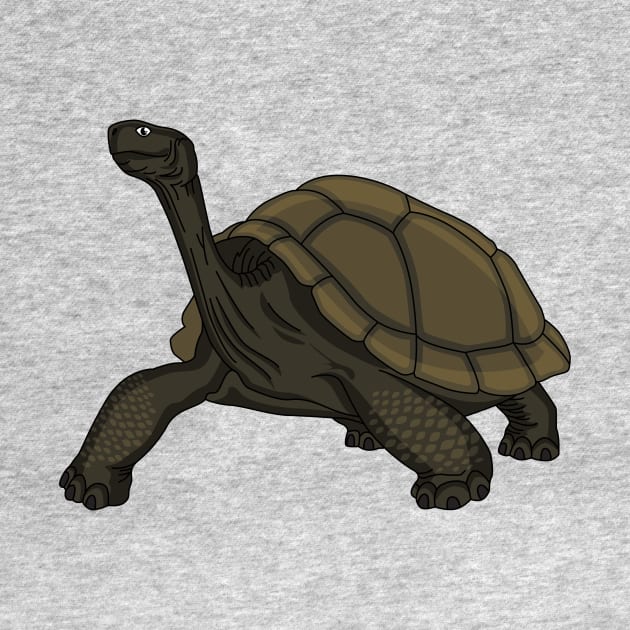 Galapagos land tortoise illustration by Cartoons of fun